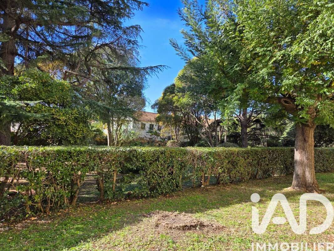 Photo 4 - Appartement à MONTPELLIER