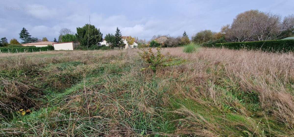 Terrain à bâtir de 2284 m² à SAINT-LEON-SUR-L'ISLE (24) - photo 3