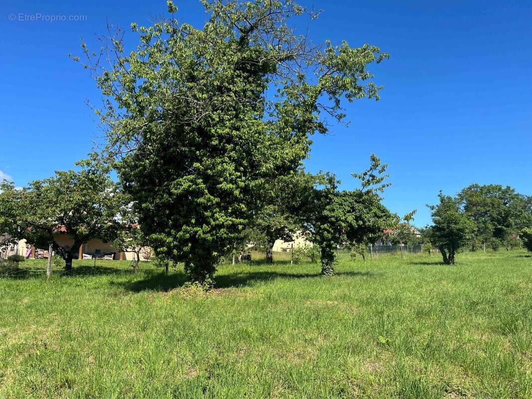 Terrain à PRETY
