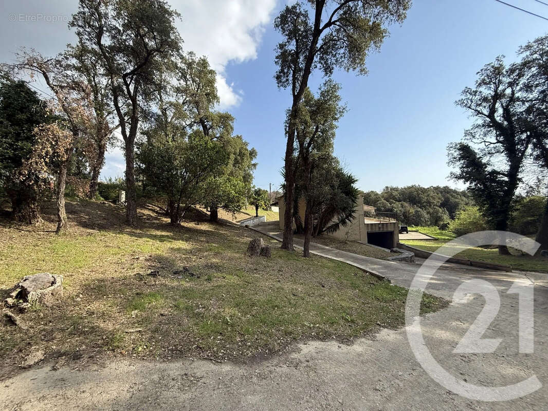 Maison 77 m² à Valle-Di-Campoloro  - photo 5