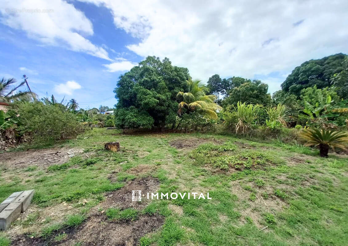VENTE Maison T4 de Plain-Pied avec Grand Jardin Arboré - GUERY ANSE-BERTRAND - photo 20