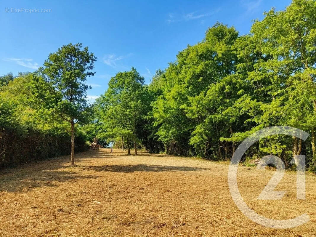Maison 79 m² à Saint-Bouize  - photo 13