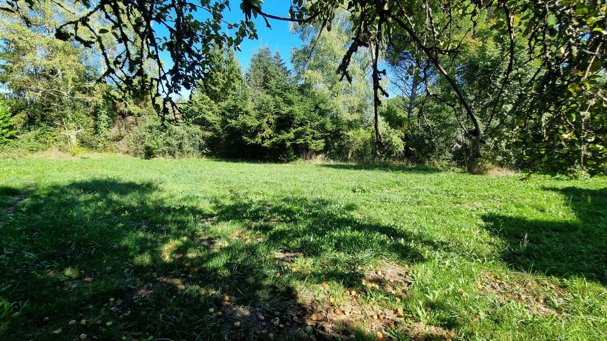 20250918_153711 - Maison à SAINT-MARTIAL-DE-VALETTE