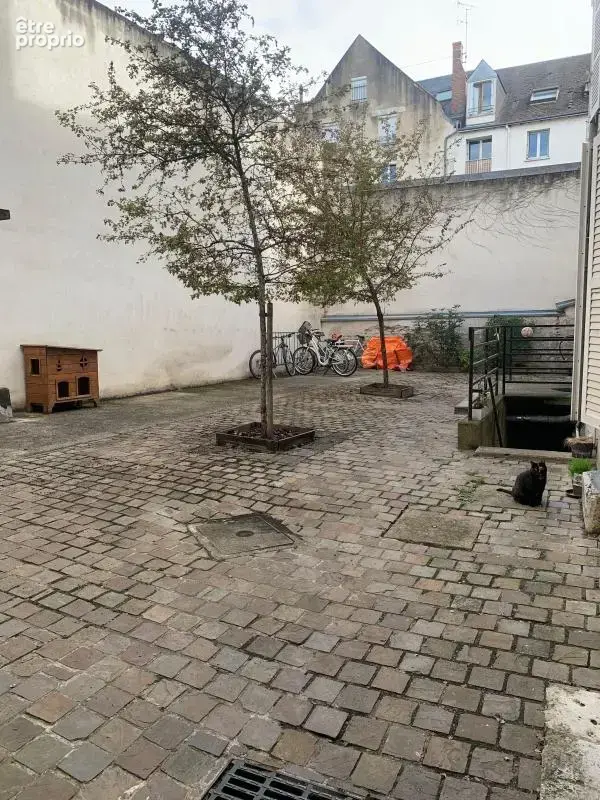  Orléans – Appartement T2 de 32,58 m² à deux pas du centre-ville !  - photo 5