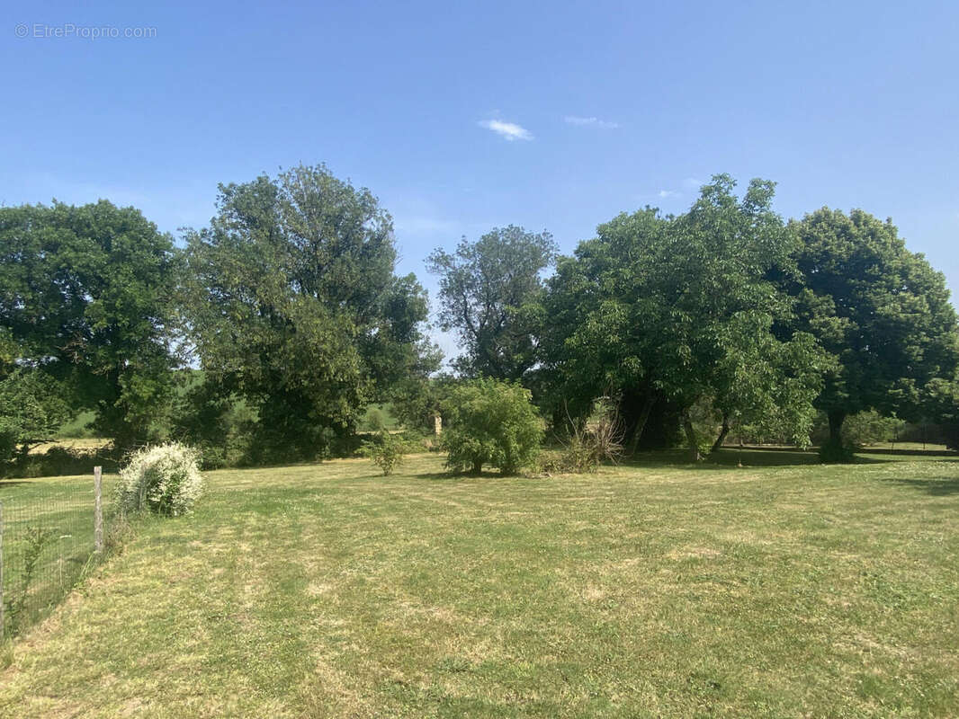 jardin - Maison à AUBETERRE-SUR-DRONNE