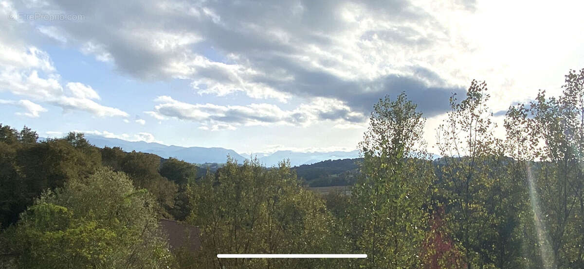 Maison 316 m² à Bosdarros  - photo 2