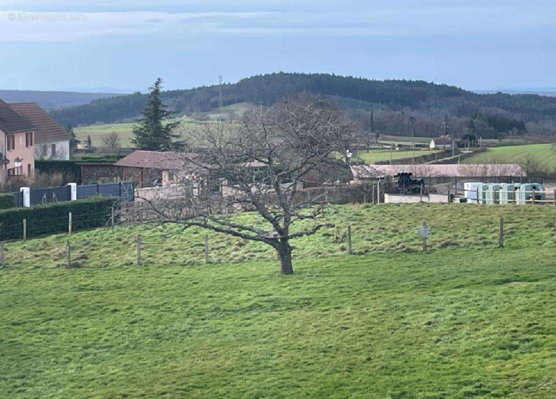 Terrain à BEAUBERY