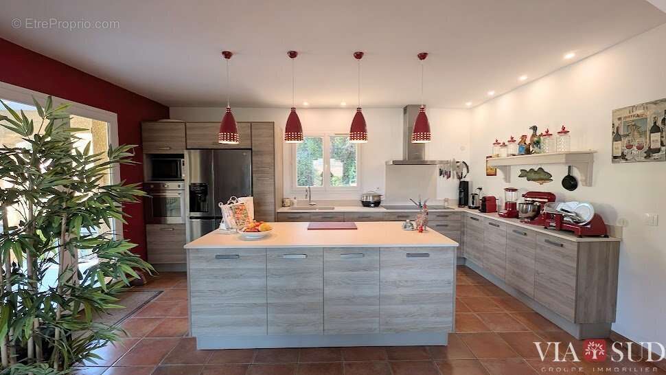 Arrière Pays, Belle villa languedocienne avec studio indépendant - photo 6