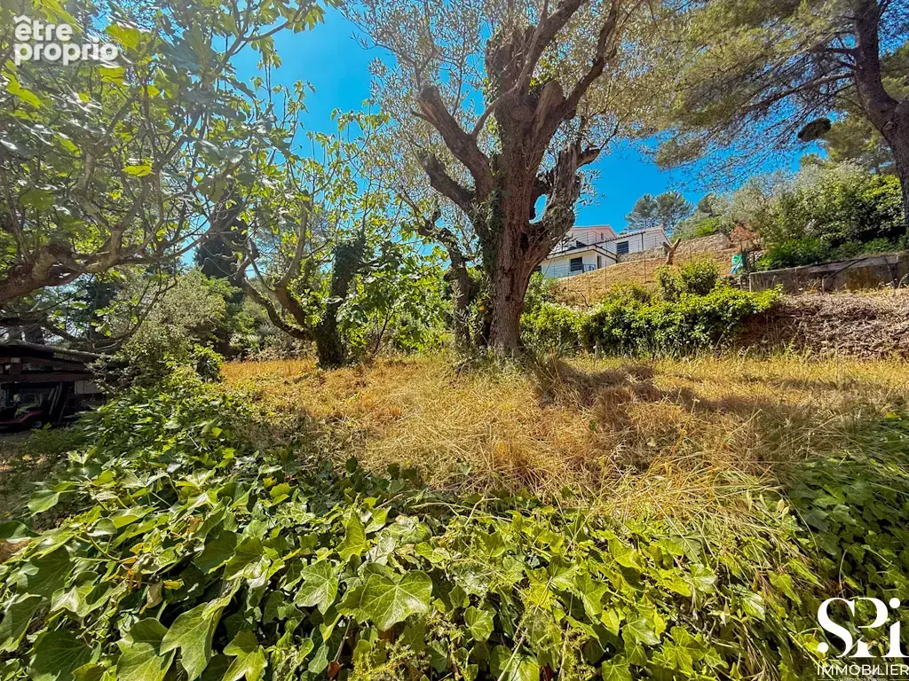 Solliès-Pont- Les Aiguiers - Terrain constructible 1 754 m2 - photo 6