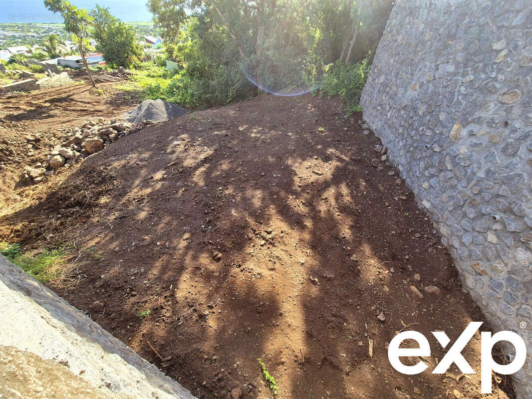 Terrain à SAINT-LEU