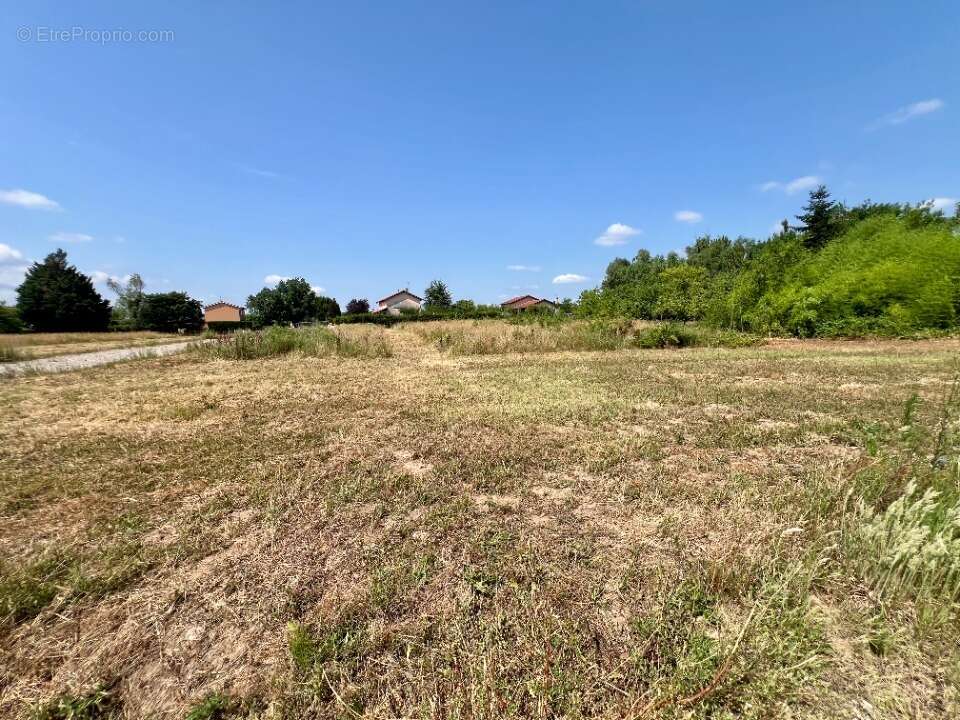 Terrain à REPLONGES