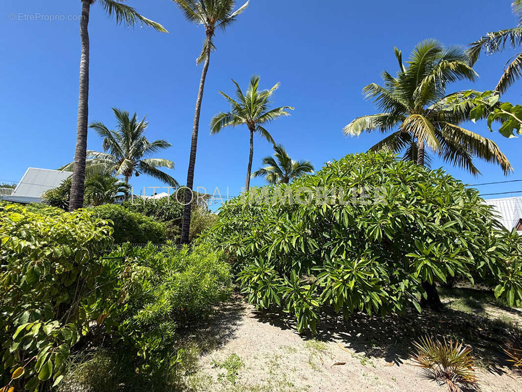 Maison à SAINT-PAUL