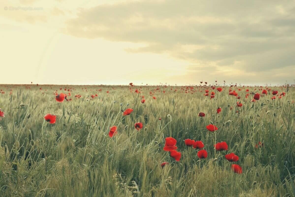 Terrain à GUIGNICOURT-SUR-VENCE