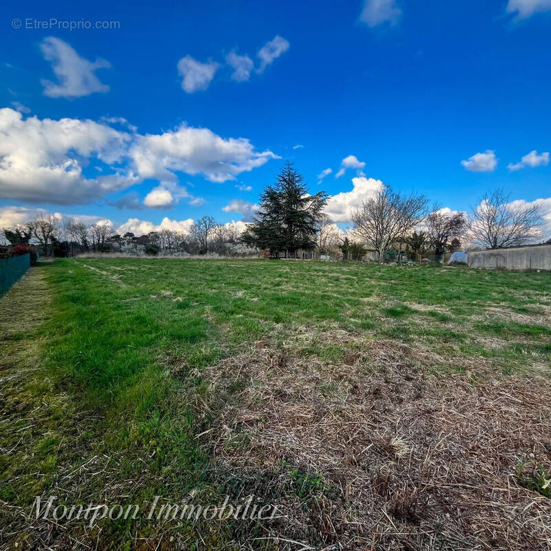 Terrain à MONTPON-MENESTEROL