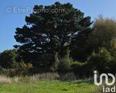 Photo 1 - Terrain à PORNICHET