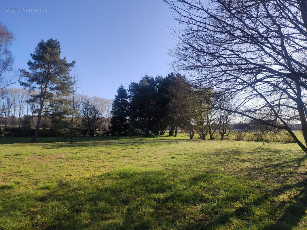 Maison à LAILLY-EN-VAL