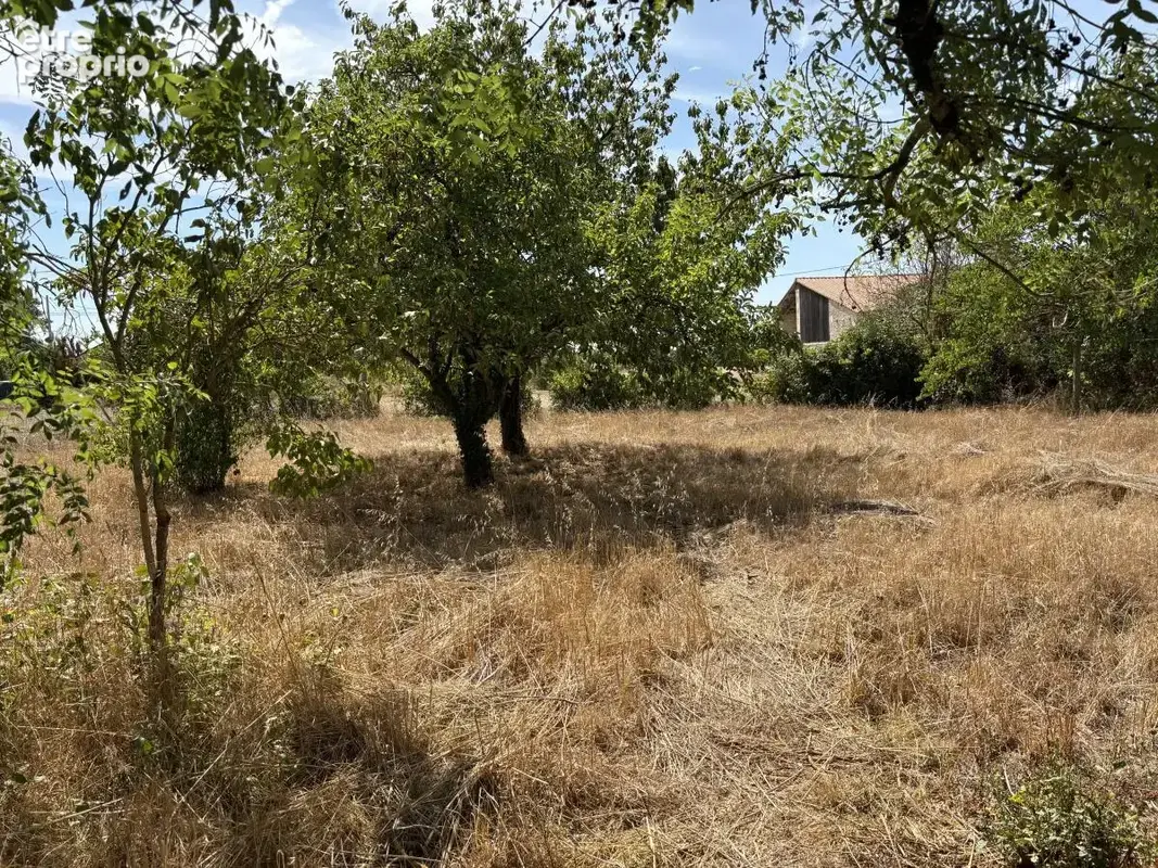 Terrain à COULON