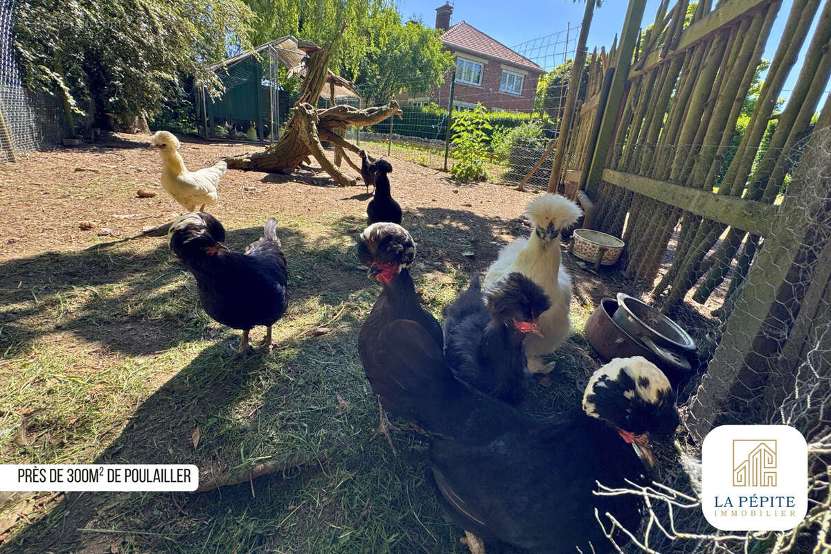 Individuelle familiale dans un cocon vert - photo 8