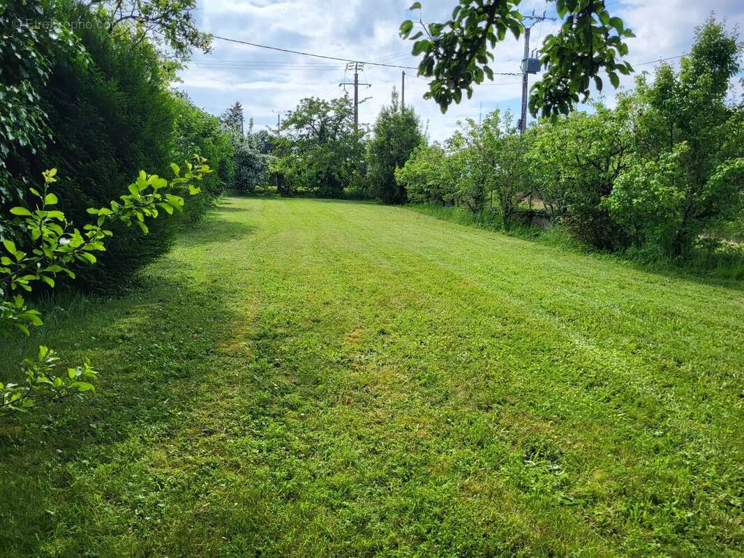 Maison à SAINT-SAVIN