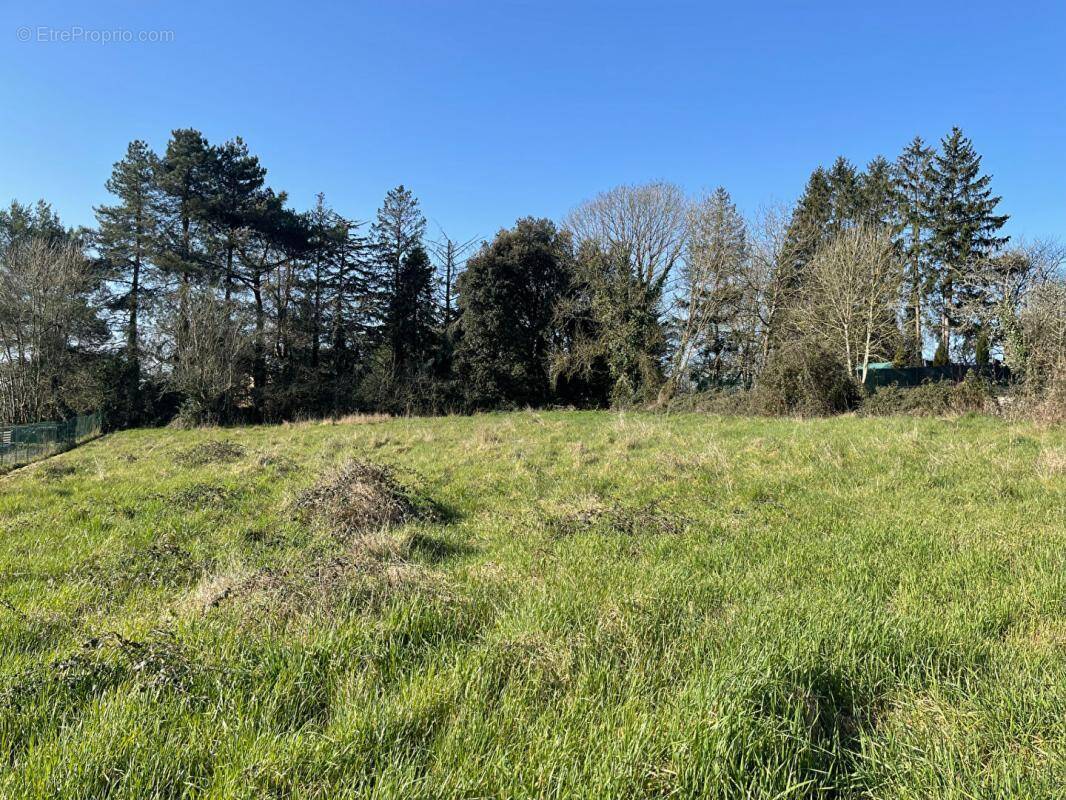 Terrain à MARSANEIX