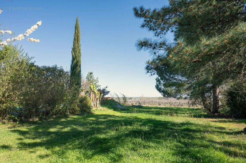 Maison à SAINT-MACAIRE