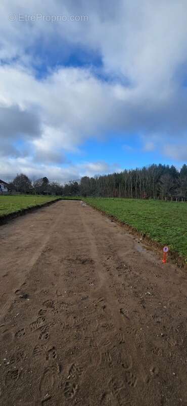 Terrain à LE PALAIS-SUR-VIENNE