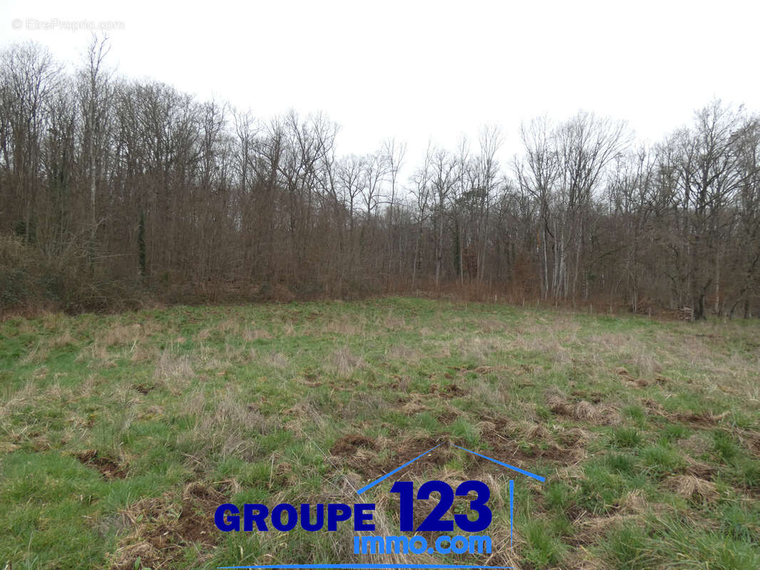 Terrain à APPOIGNY