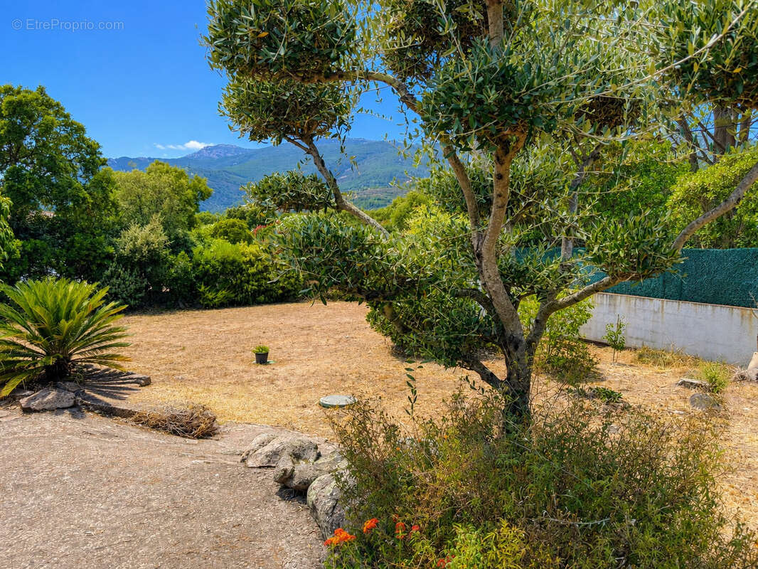 Propriété de 1500m2 avec piscine à proximité des plages de Saint Cyprien et des commodités. - photo 4