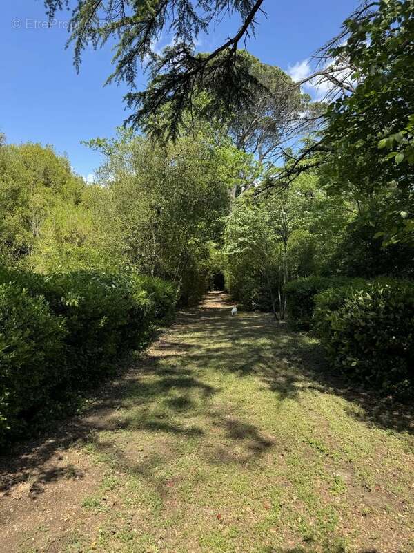 Maison à CARCASSONNE