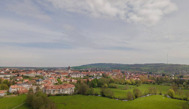 Terrain à WASSELONNE