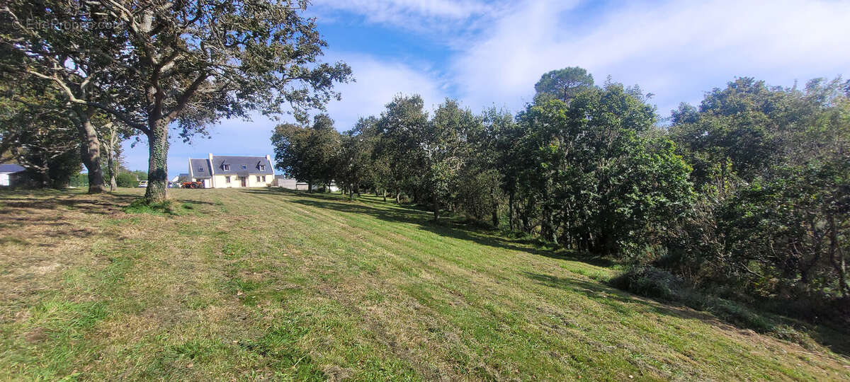 Maison 110 m² à Moelan-Sur-Mer  - photo 2