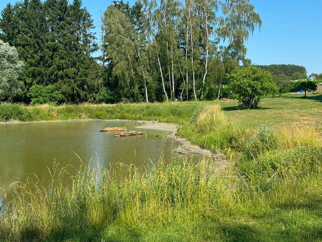 Propriété avec étangs, maison de plain pied au cœur de 3 hectares - photo 18