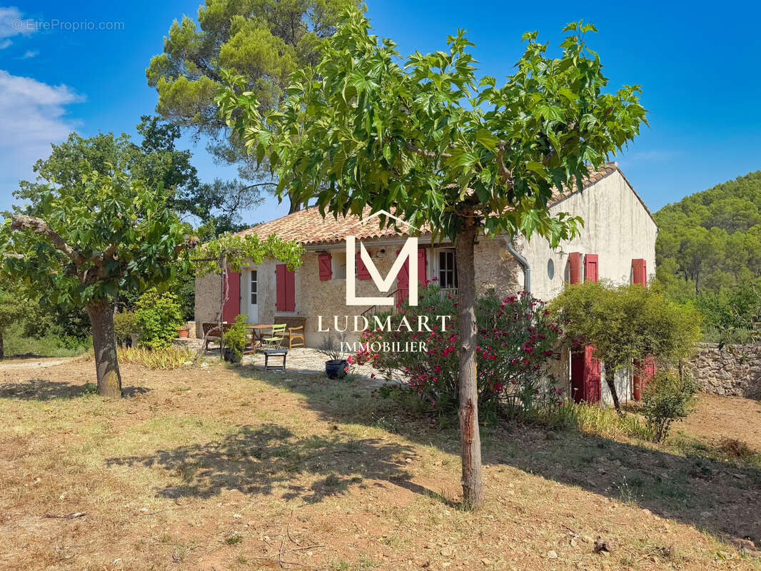 Lorgues   Domaine provençal de 11 hectares avec deux maisons indépendantes, deux piscines, vignoble AOP et oliveraie - photo 8