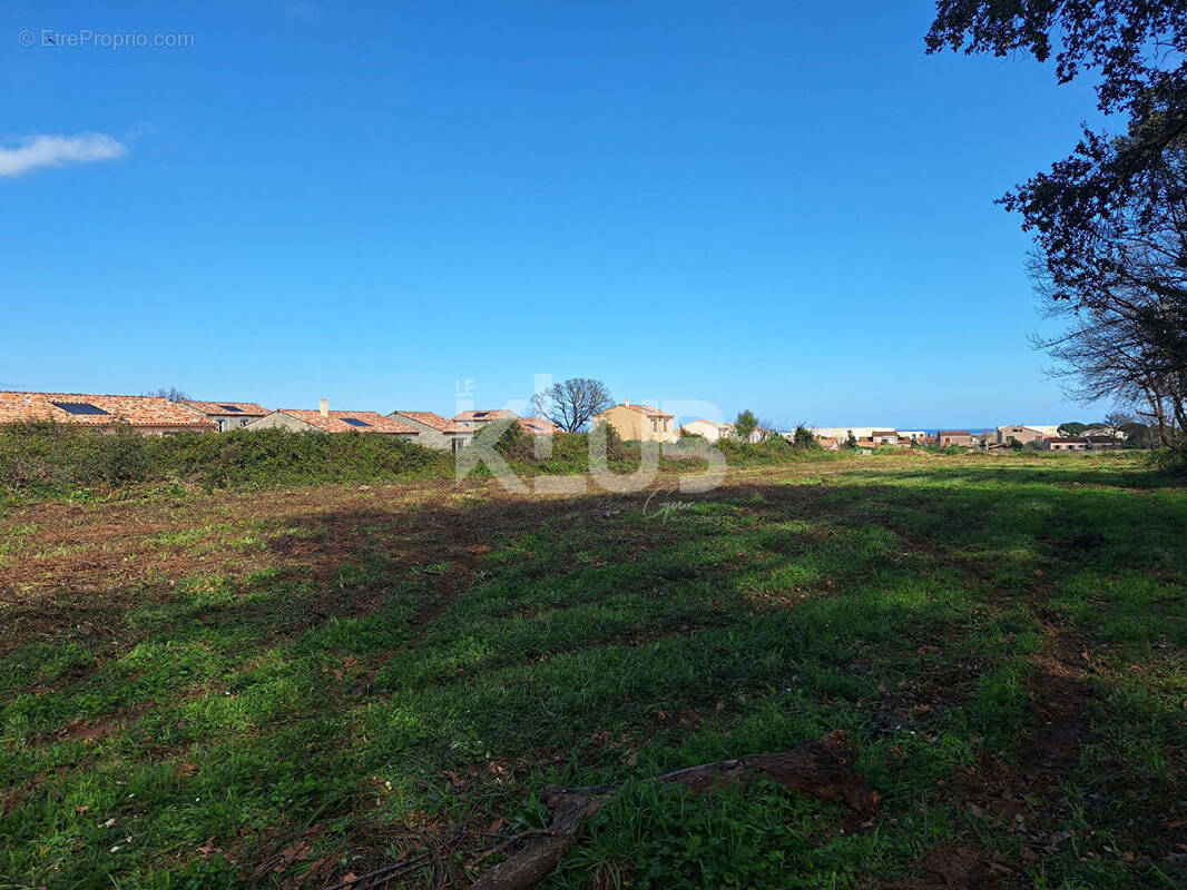 Terrain à VESCOVATO