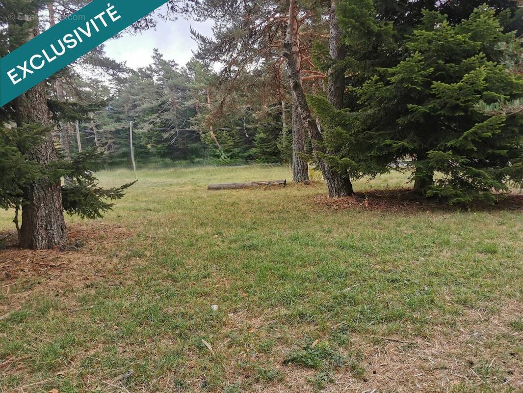 Photo 1 - Terrain à CAILLE
