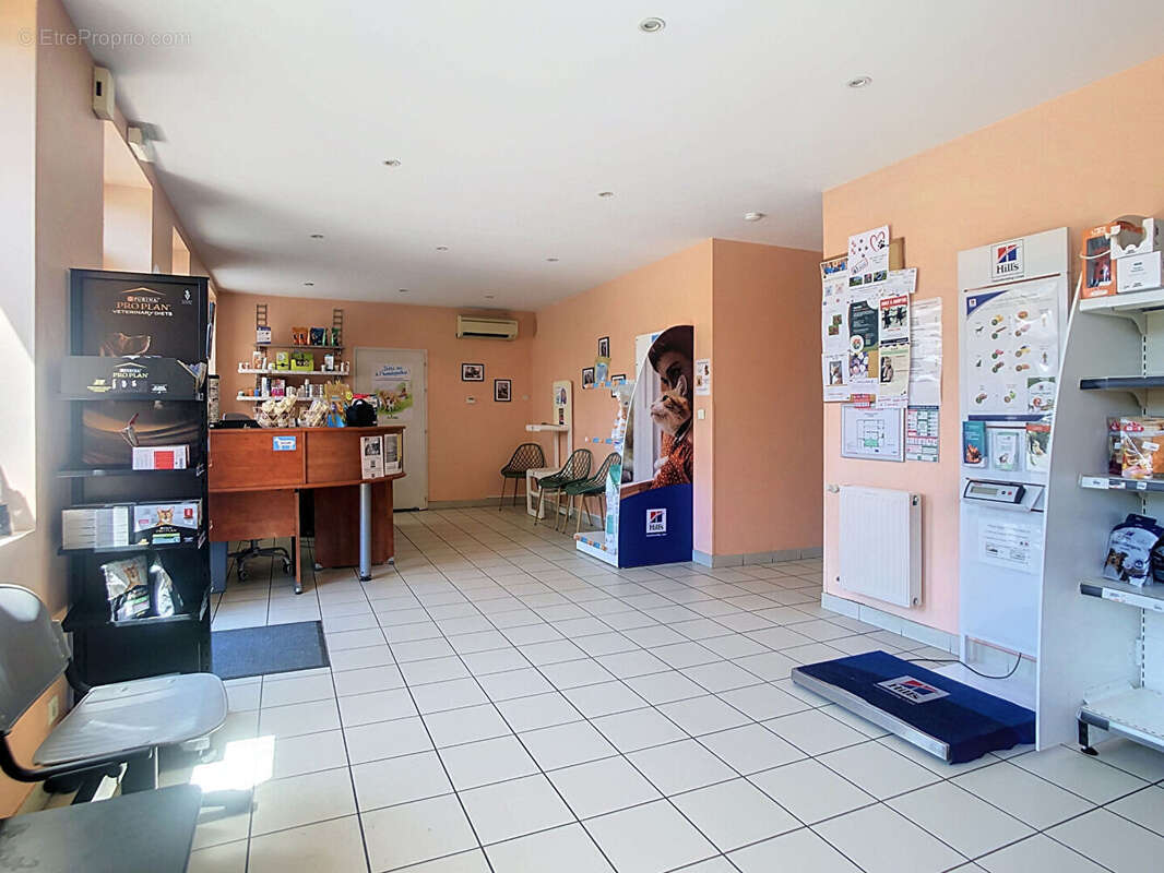 Maison de caractère à usage professionnel, commercial et/ou habitation - photo 3