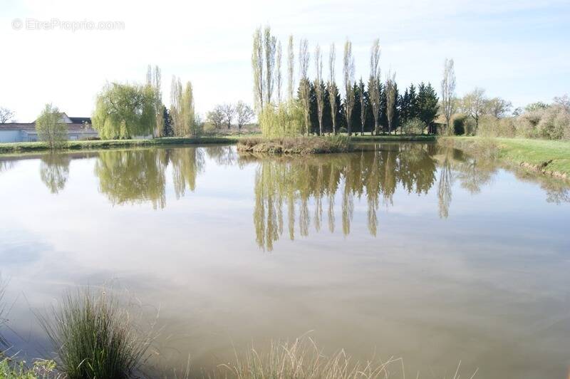 Terrain à DOMERAT
