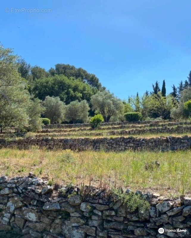 Terrain à LE BEAUSSET