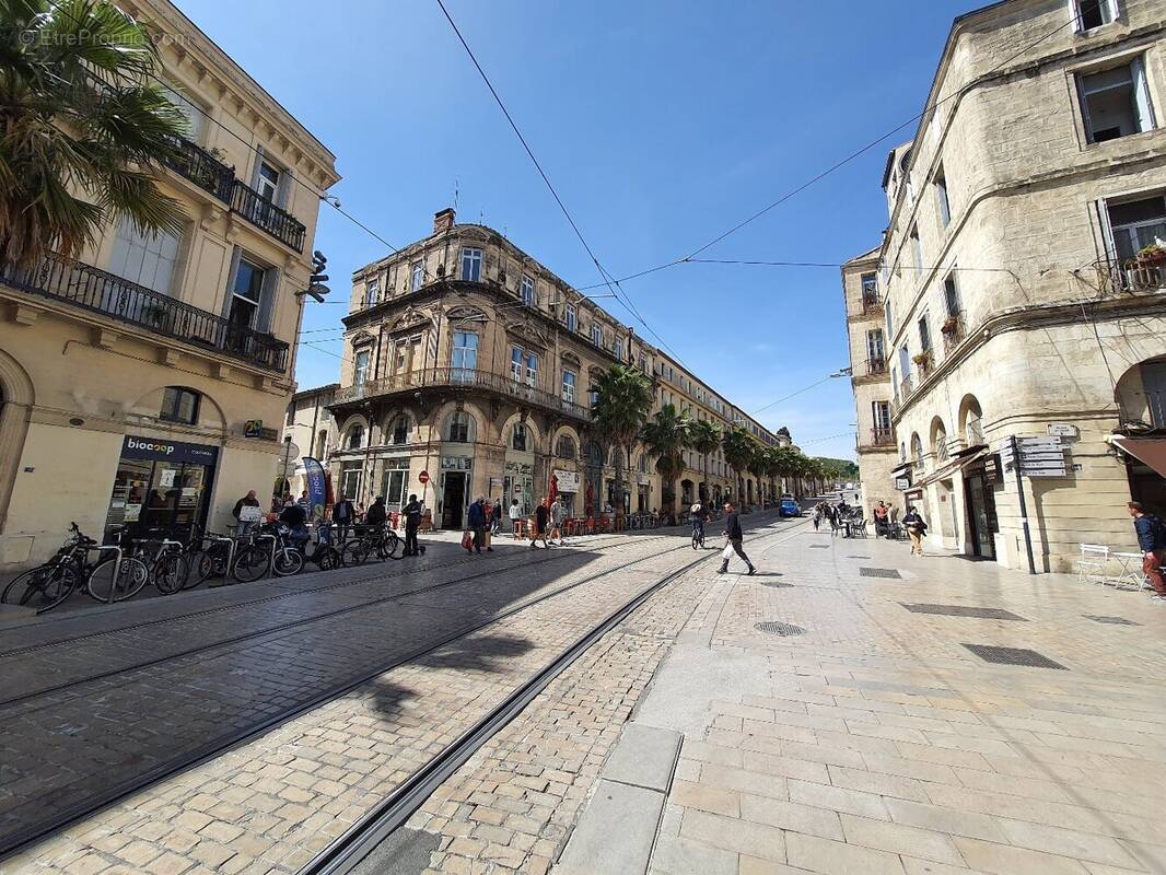 Commerce à MONTPELLIER