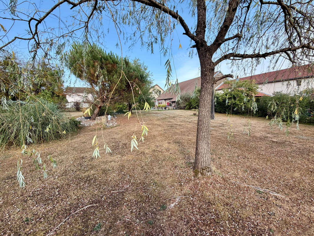Vente charmante maison rénovée, mitoyenne, sur terrain de  24,77 ares ROYE - photo 30
