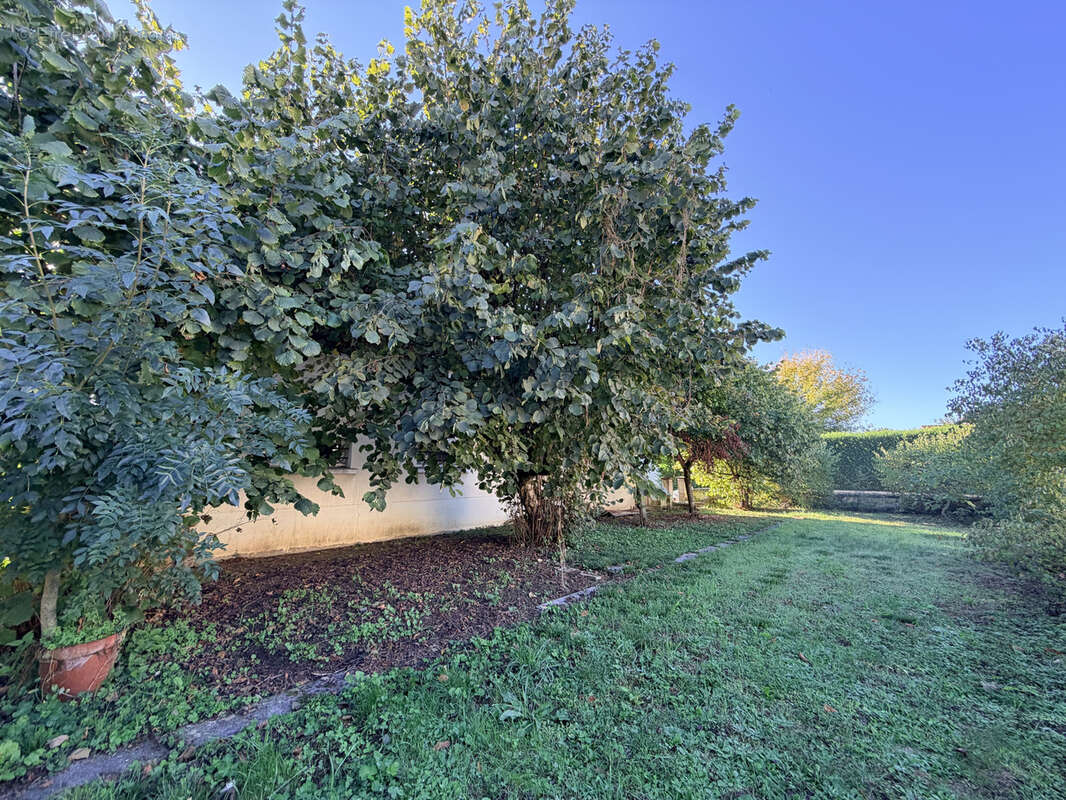 Maison à CHASSENEUIL-DU-POITOU