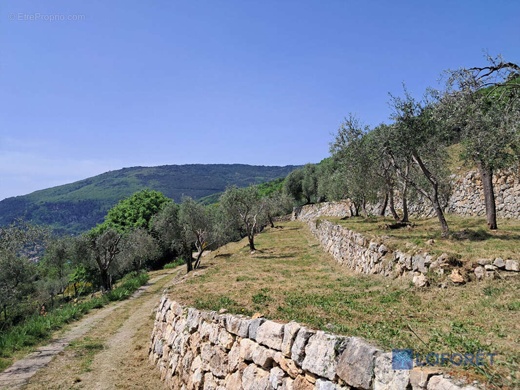 Maison à CHATEAUNEUF-GRASSE