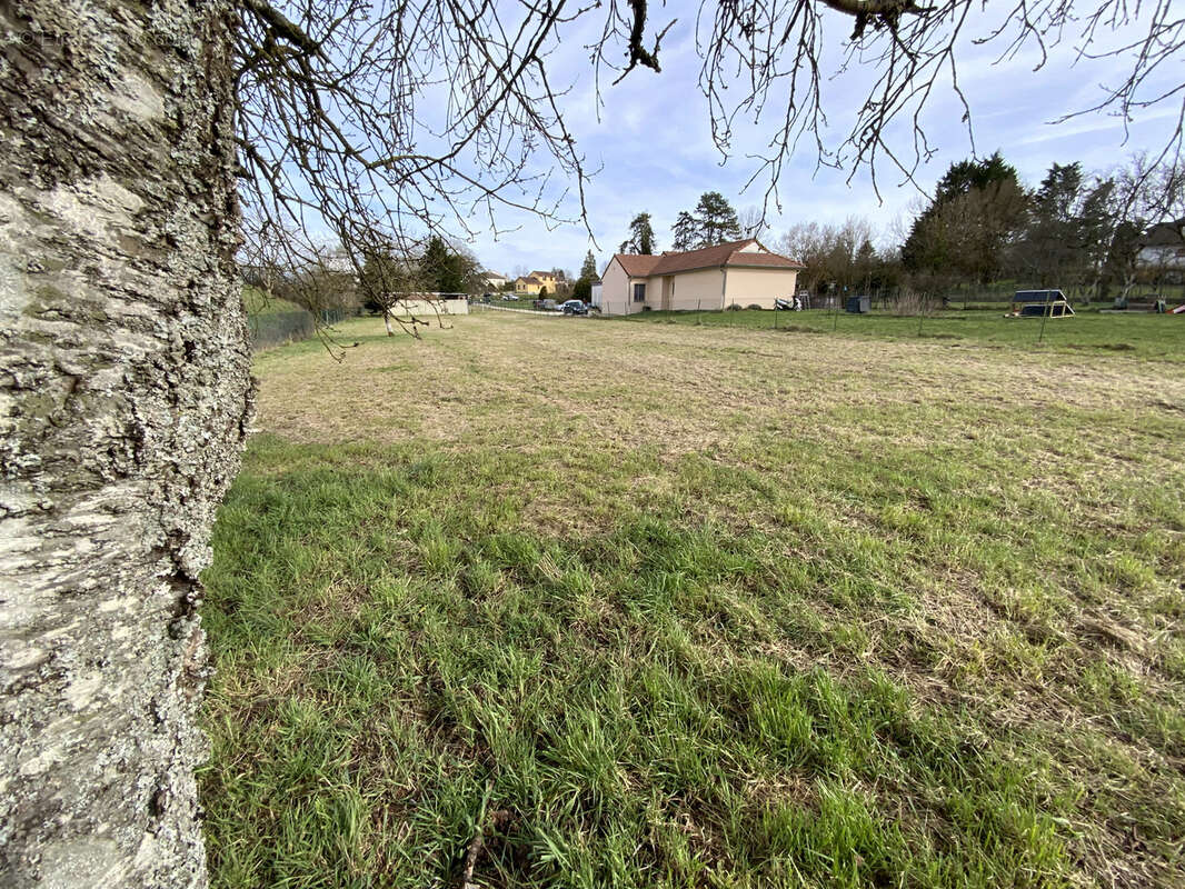 Terrain à GONDRECOURT-LE-CHATEAU