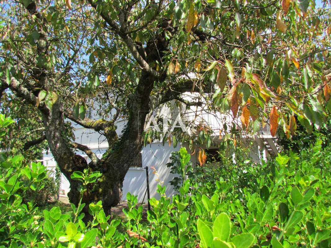 Maison à RUFFEC