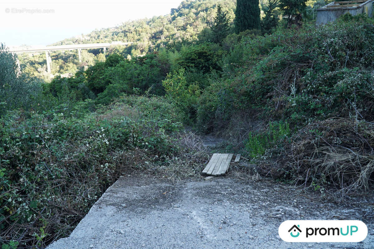 Terrain à SAINTE-AGNES