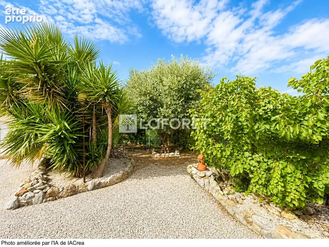 Maison Elne plain pied , 4 pièce(s) 83.52 m2. 2 garages. 482 m2 de terrain - photo 14