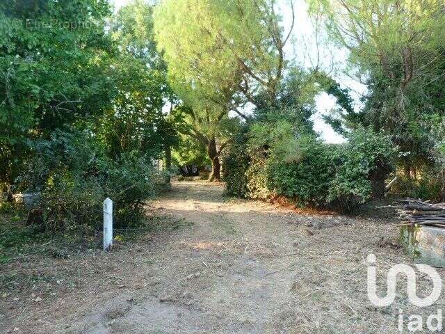 Photo 5 - Maison à AIGREFEUILLE-D&#039;AUNIS