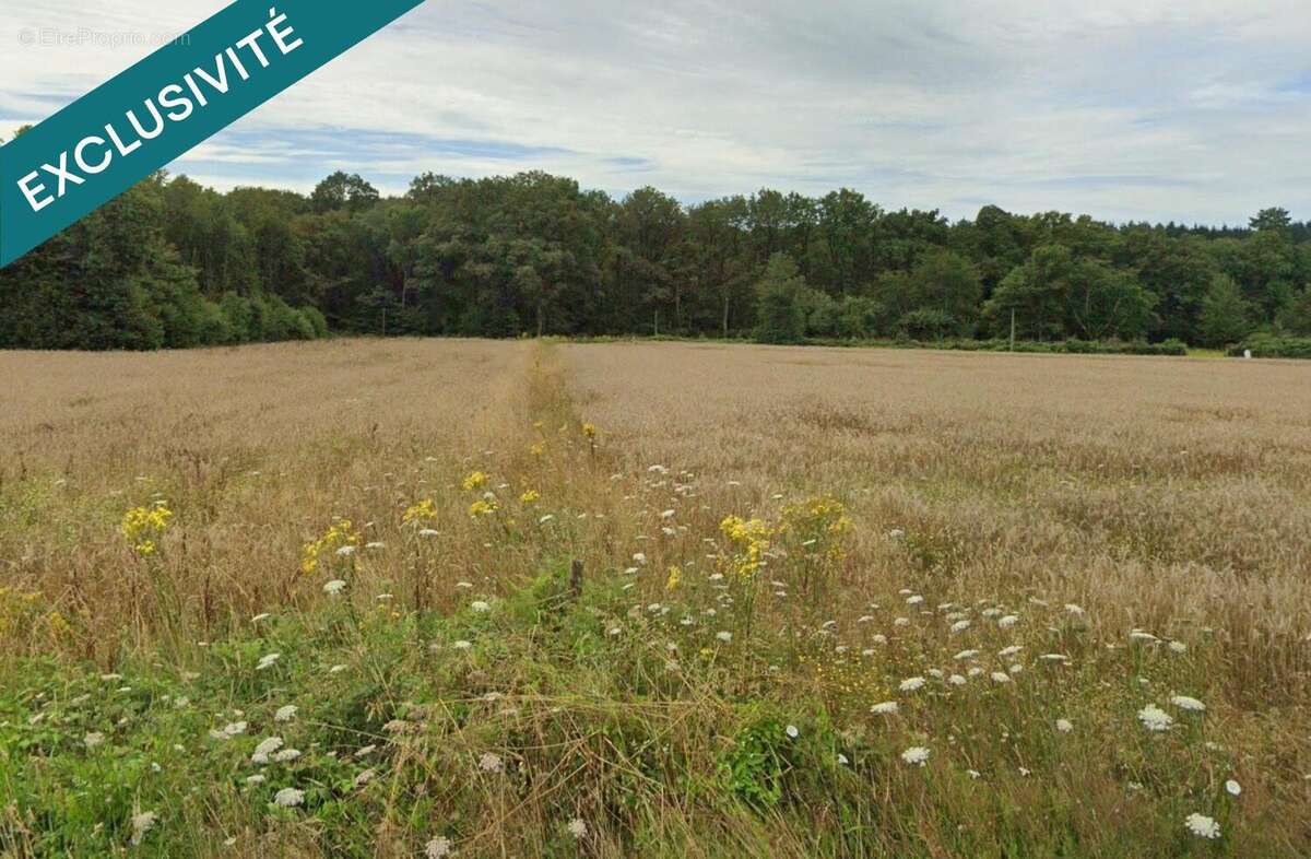 Photo 3 - Terrain à SION-LES-MINES