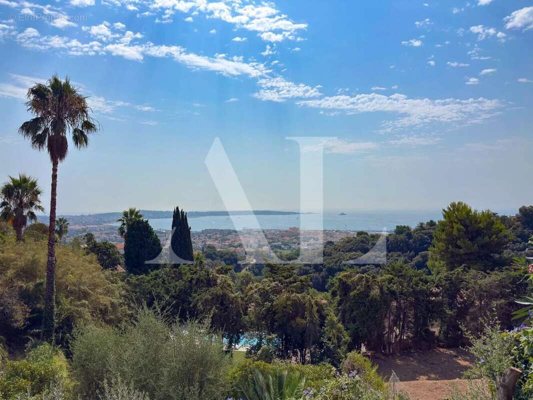 Vue mer panoramique - villa d'architecte de 245 m2 - photo 3