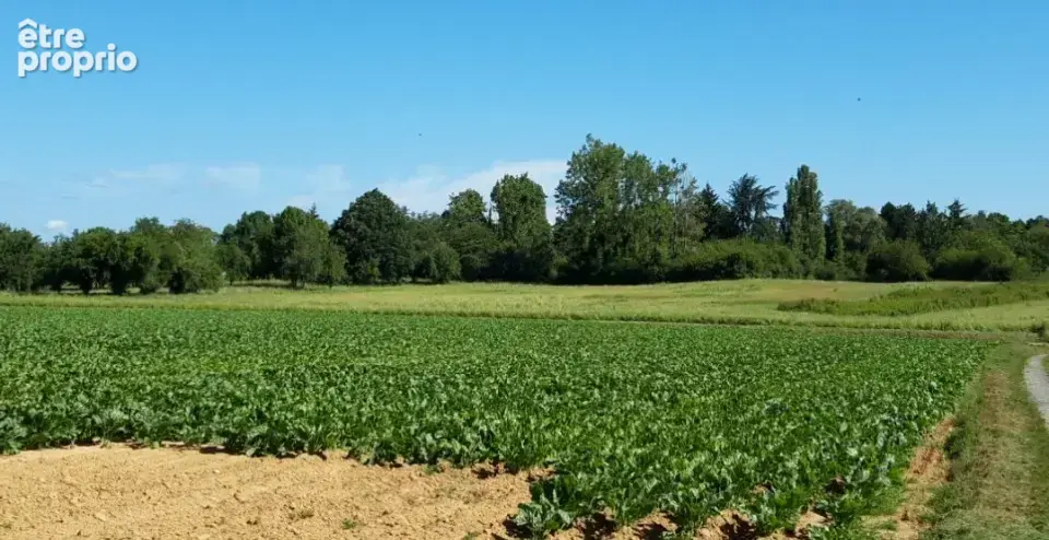 Terrain 359 m² à vendre à Boullay-Les-Troux (91470) - photo 2